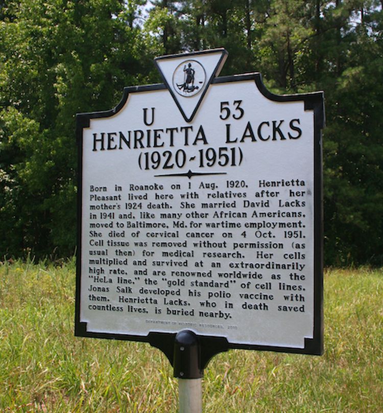 Henrietta Lacks5